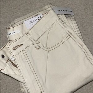 NEVER WORN BEFORE PACSUN carpenter pants.